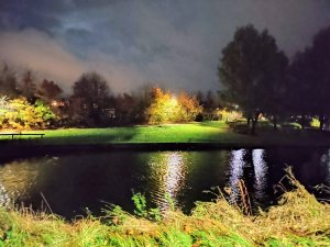 IMG_20201101_205337.jpg