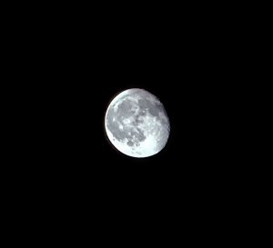 IMG_20201103_192446.jpg