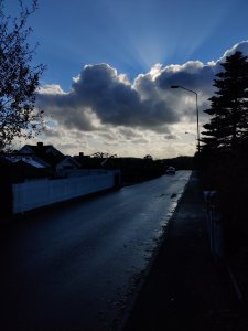 IMG_20201104_111810.jpg