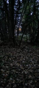 20201013_182514.jpg