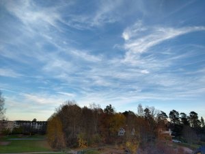 IMG_20201106_150202301_HDR.jpg