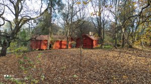 IMG_20201106_143604.jpg