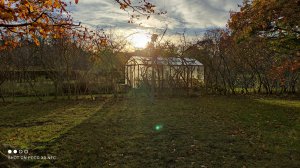 IMG_20201106_143702.jpg
