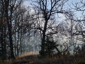 20201108_135204.jpg