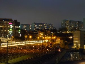 20201114_160330.JPG