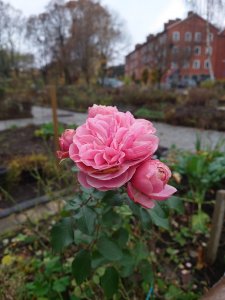 DSC_0041.JPG