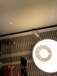 IMG_0155.jpg