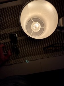 IMG_0157.jpg