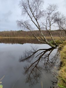 IMG_20201114_152119.jpg