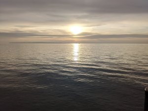 PXL_20201114_140921656.jpg