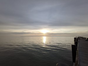 PXL_20201114_140938590.jpg