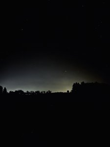 26A5A080-AD31-4710-8CE5-39D02C28A481.jpeg
