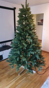 20201126_105540.jpg