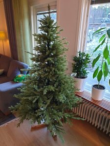 20201126_123339.jpg