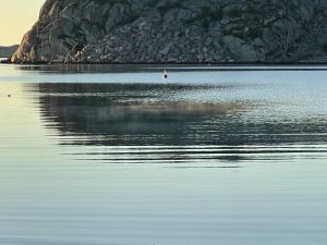 IMG_0558.jpg
