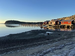 IMG_0557.jpg