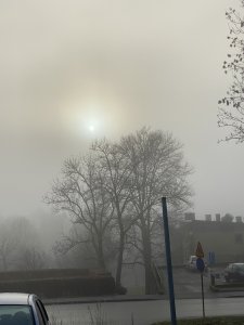 4A9D2706-B716-473D-A921-4E50D662E0C5.jpeg