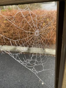 DA5502A4-27B9-426B-916E-BB24CDA3FD11.jpeg