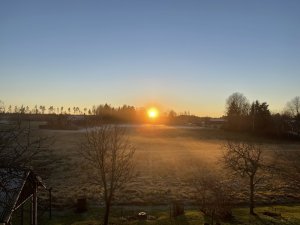 IMG_0065.jpeg