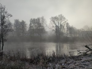 IMG_20201127_104436.jpg