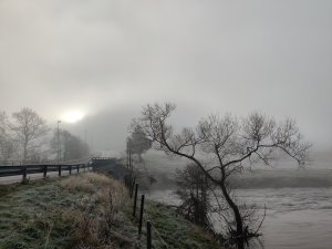 IMG_20201127_103214.jpg