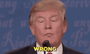 F7011C0A-7235-4A45-915D-F1054CD5DC95.gif