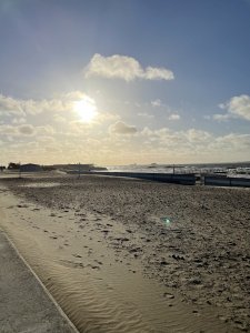 F31C826D-5A81-44E2-AF24-405F7BB8CBE9.jpeg
