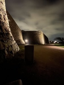 4D336188-C5B5-4B9C-8E97-78AF2F0110D2.jpeg