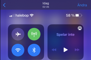 Skärmavbild 2020-12-06 kl. 12.53.20.png
