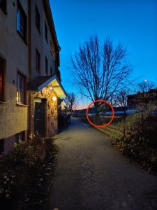 IMG_20201120_160516.jpg