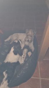 20201209_171359.jpg