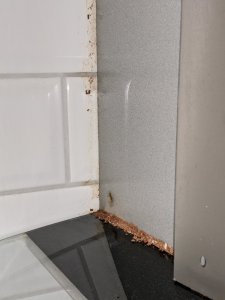 PXL_20201215_100911821.jpg