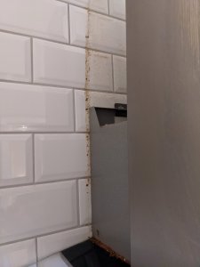 PXL_20201215_100857305.jpg