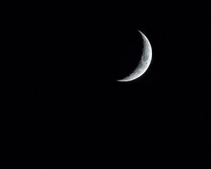 IMG_20201218_162635.jpg