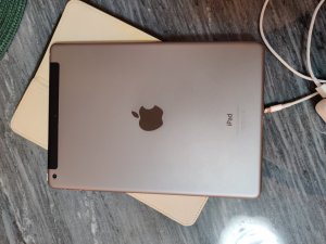 IMG_20201213_225303.jpg