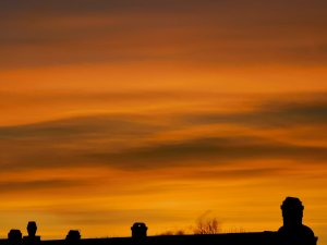 IMG_20201219_152336.jpg