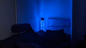 PXL_20201219_201021227.NIGHT.jpg