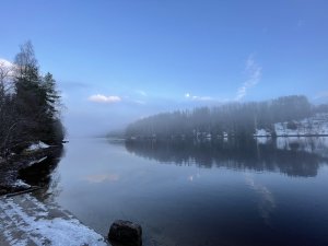 E1DEC36A-517A-4A40-A264-09B18234F930.jpeg