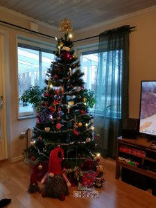 IMG_20201221_133940.jpg