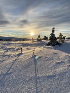 76000A24-ECFB-4827-8297-BD687F54F244.jpeg