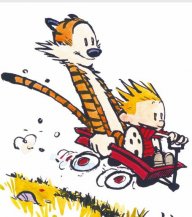 Calvin&Hobbes