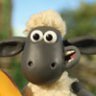 Shaun