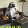 flamur