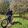 crf_niklas
