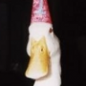 Jördis