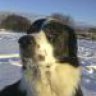 nanook62