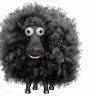 BlackSheep