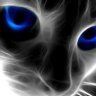 arcticblue