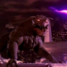 Zuul