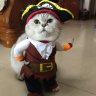 KattenKrok
